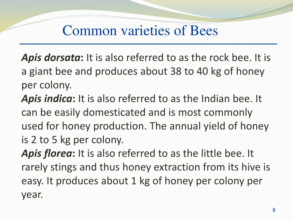 common varieties of bees