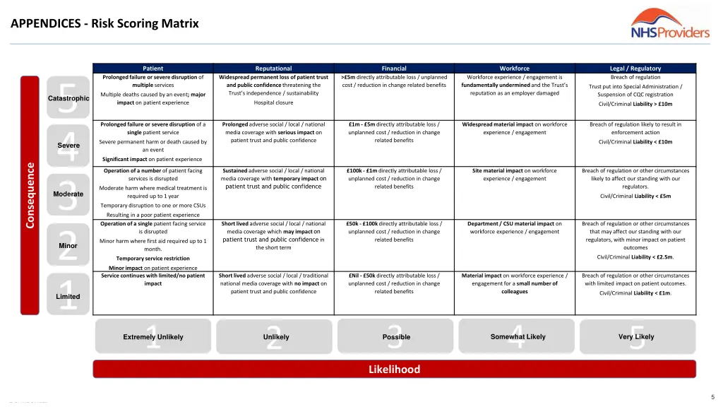 appendices risk scoring matrix