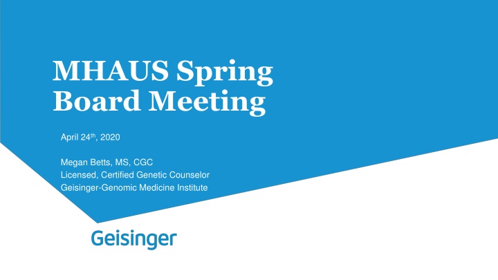 mhaus spring board meeting