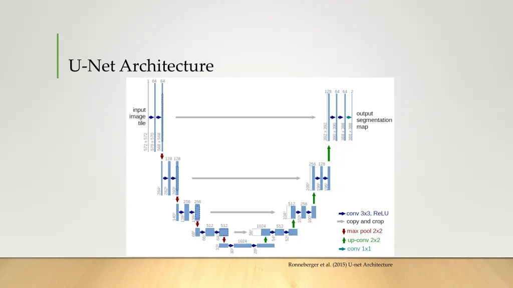 u net architecture