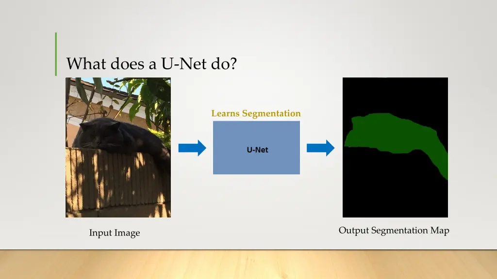 what does a u net do