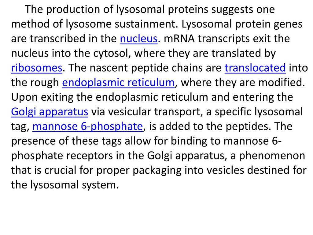 the production of lysosomal proteins suggests