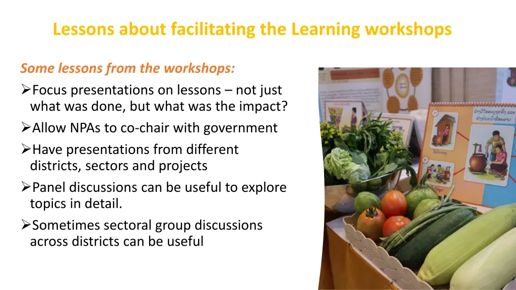 lessons about facilitating the learning workshops