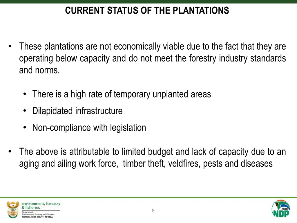 current status of the plantations