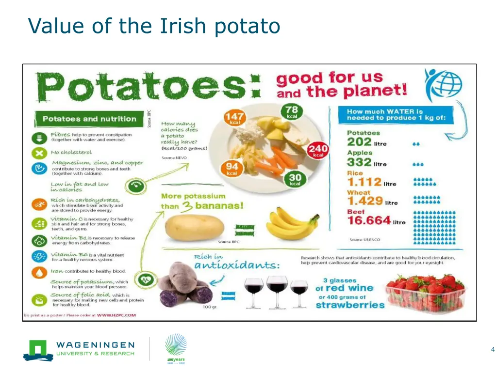 value of the irish potato