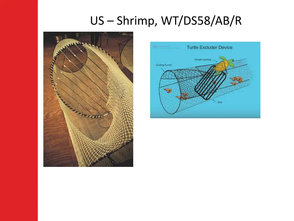 us shrimp wt ds58 ab r