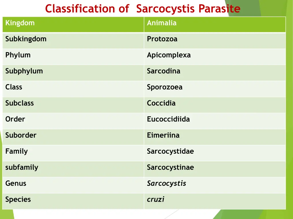 classification of sarcocystis parasite