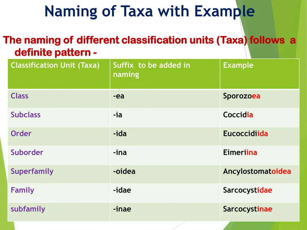 naming of taxa with example