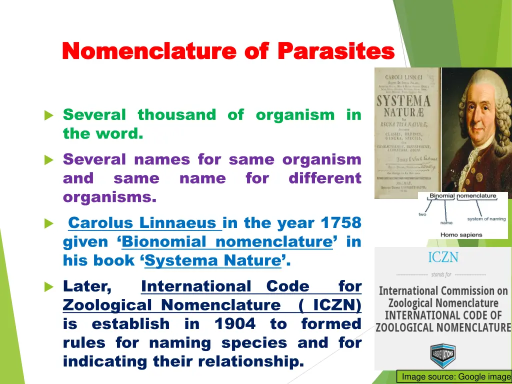 nomenclature of parasites nomenclature