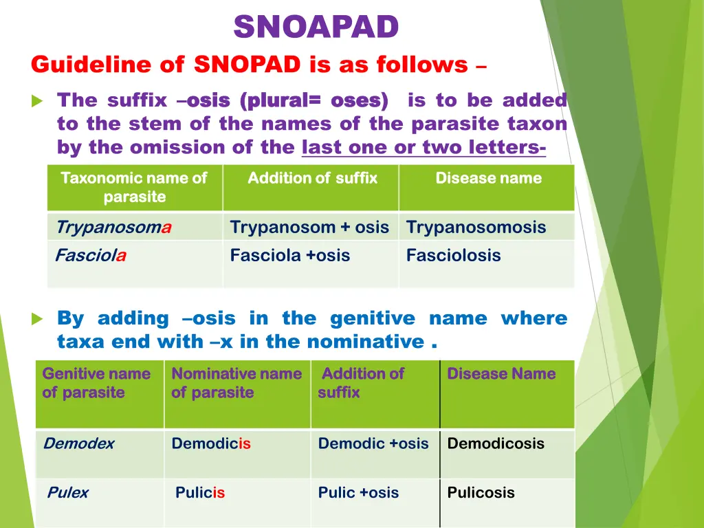 snoapad 1