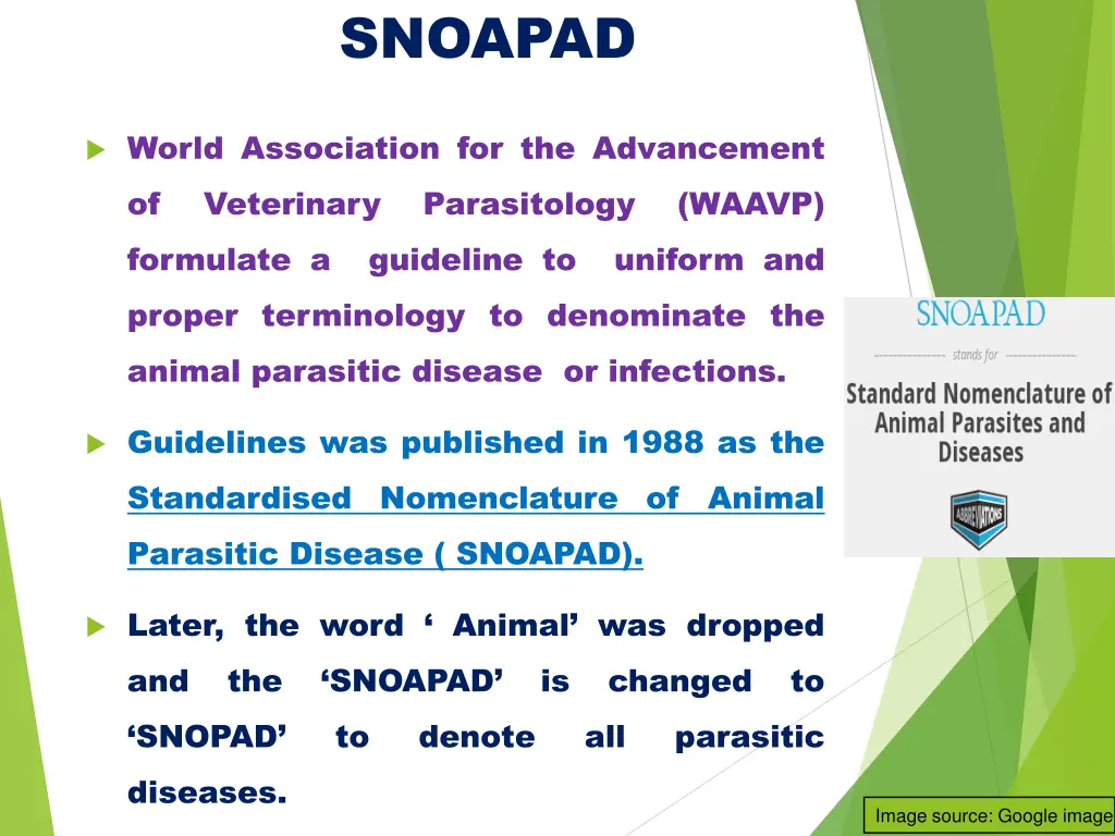 snoapad