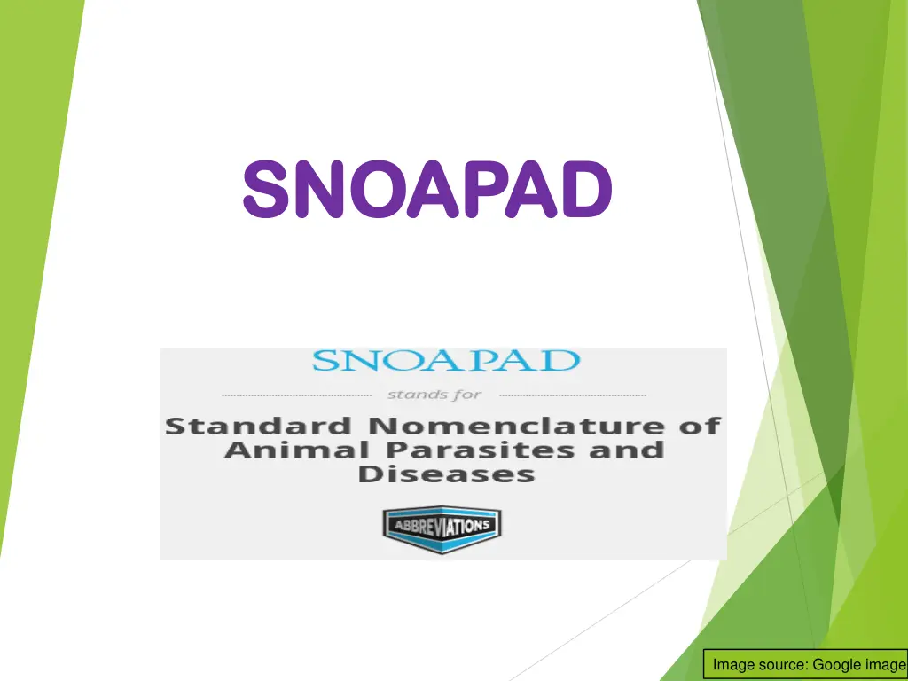 snoapad snoapad