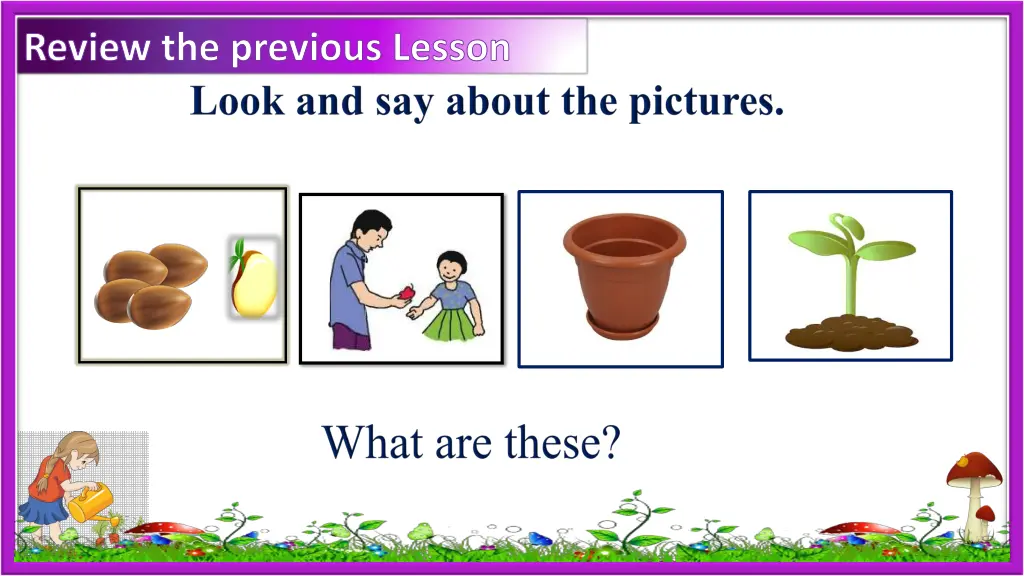 review the previous lesson