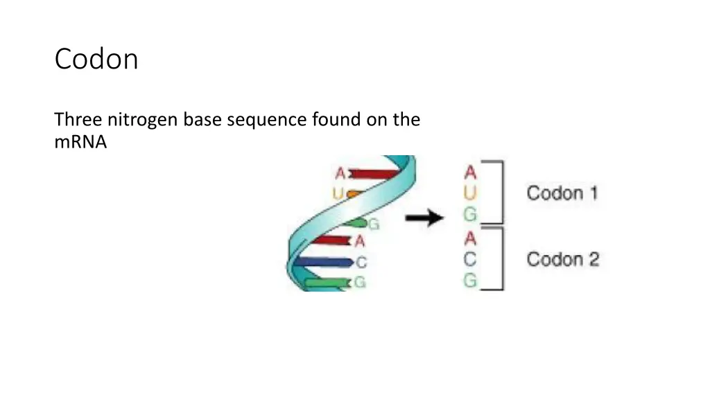 codon