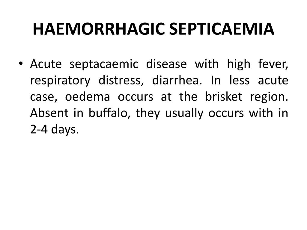 haemorrhagic septicaemia