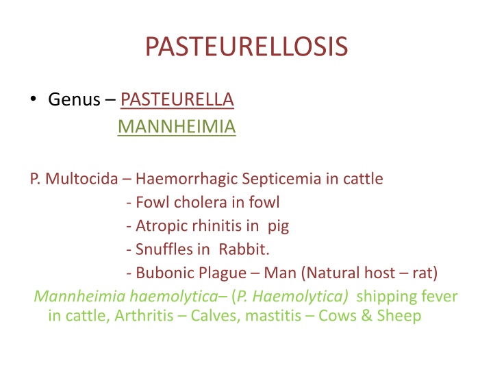 pasteurellosis