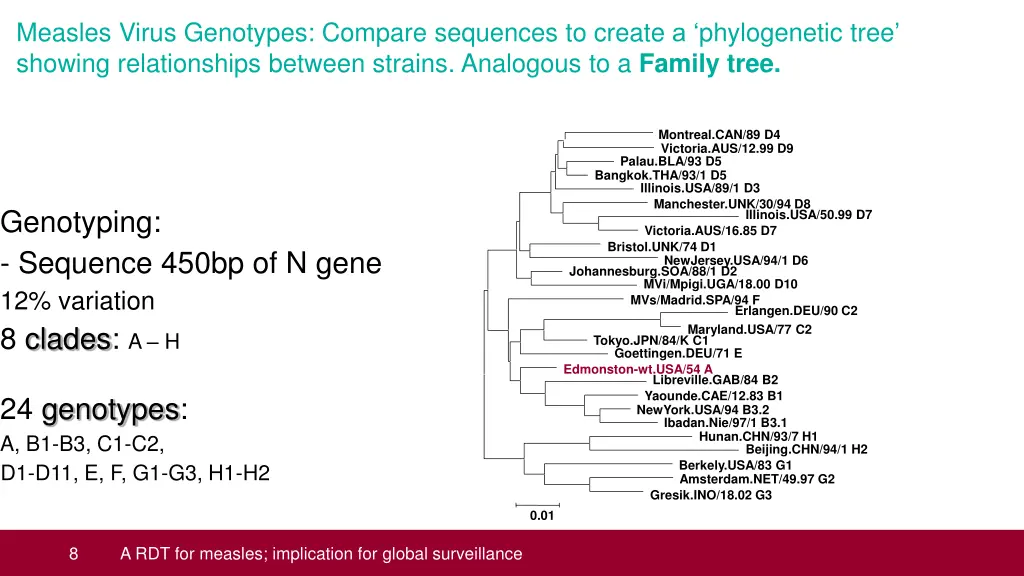 measles virus genotypes compare sequences