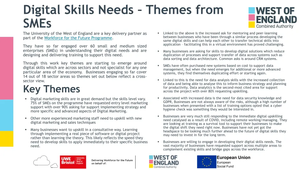 digital skills needs themes from smes