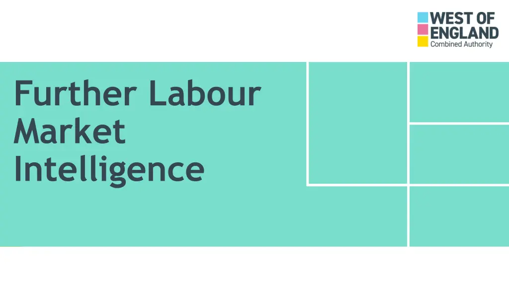 further labour market intelligence