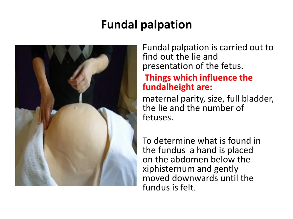 fundal palpation 1