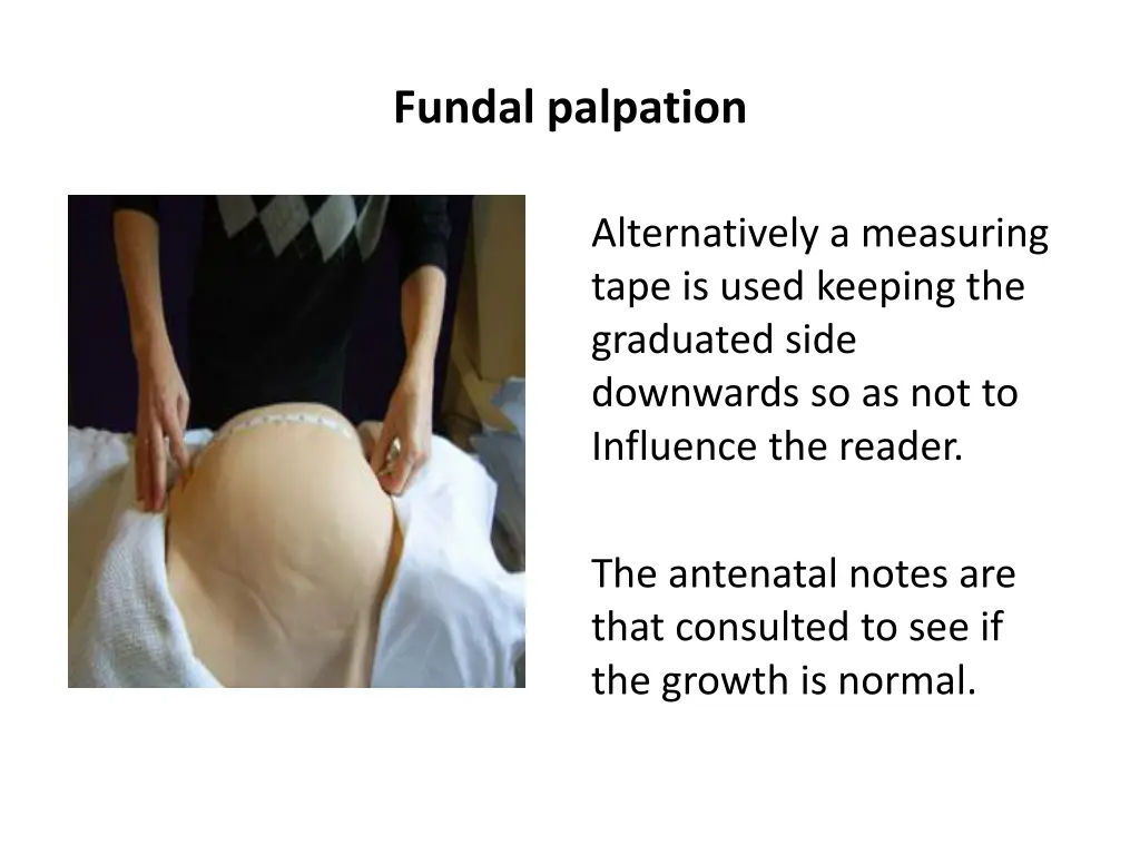 fundal palpation 2