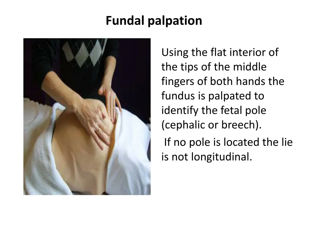 fundal palpation