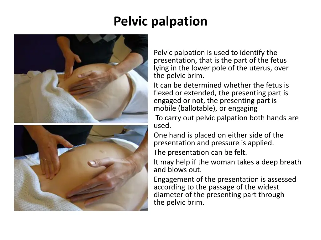 pelvic palpation