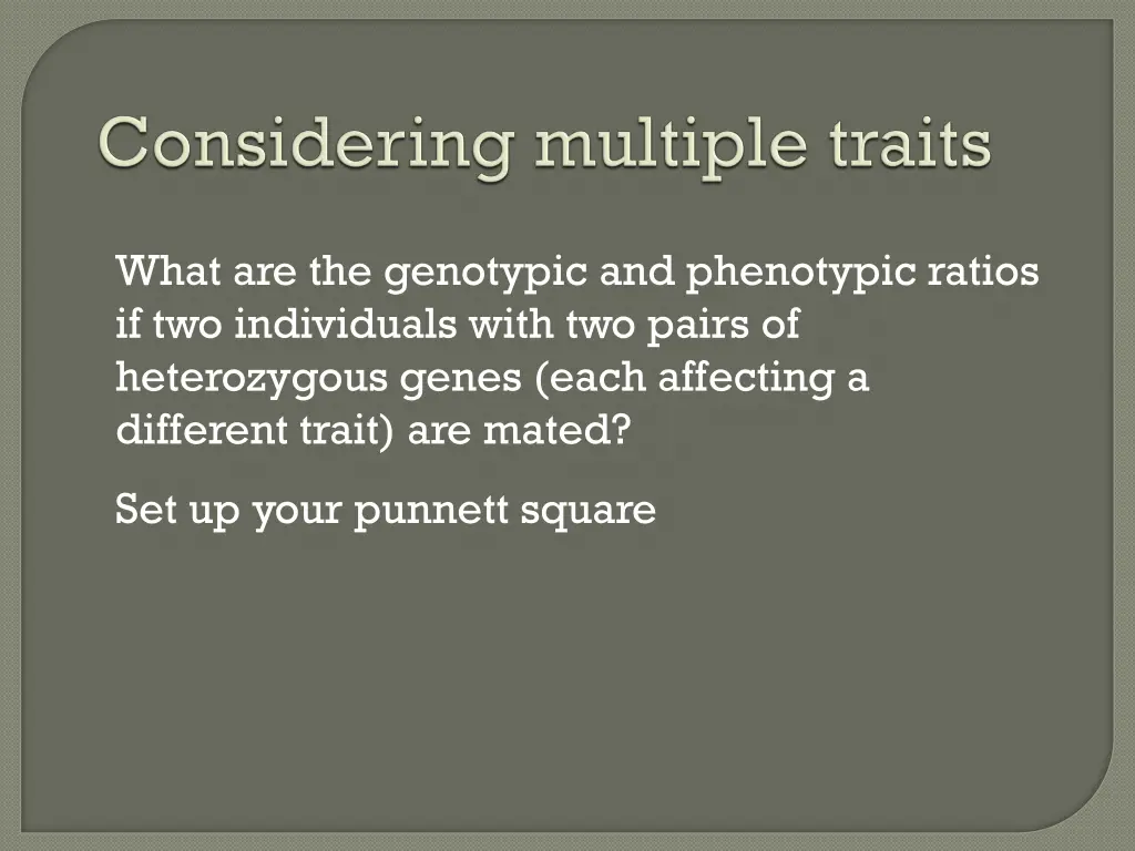 what are the genotypic and phenotypic ratios