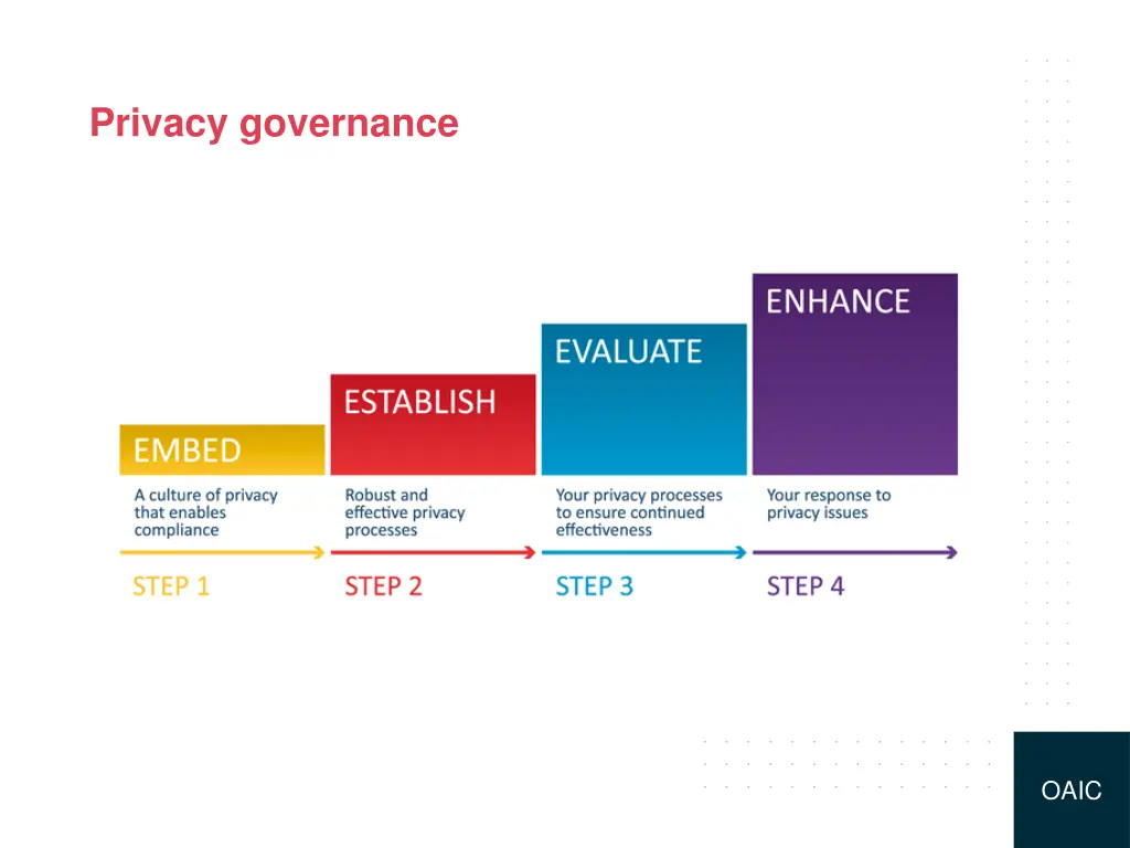 privacy governance 1