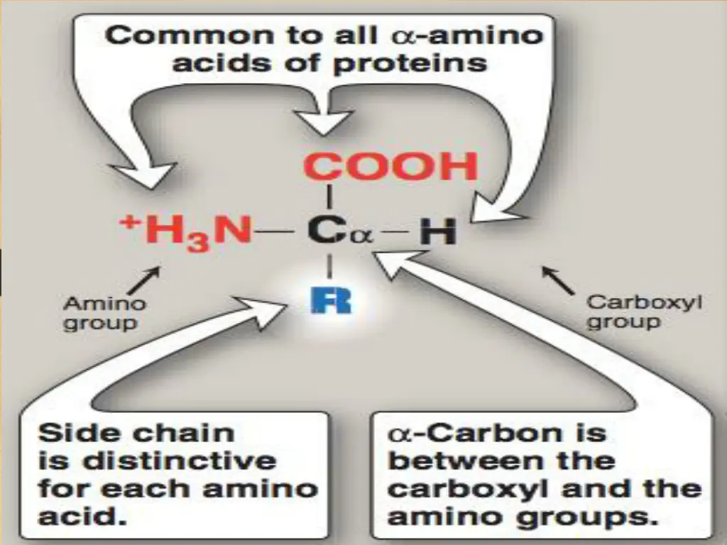 general structure