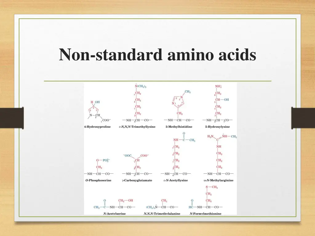 non standard amino acids