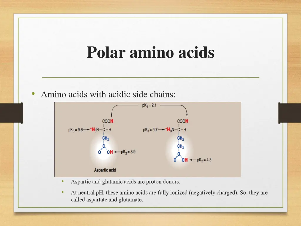 polar amino acids