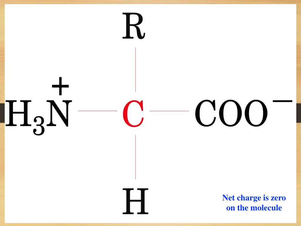 zwitterion