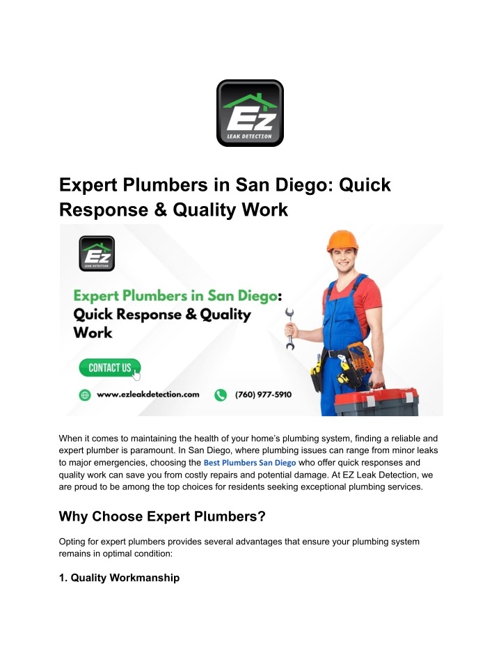 expert plumbers in san diego quick response