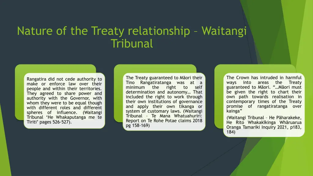 nature of the treaty relationship waitangi