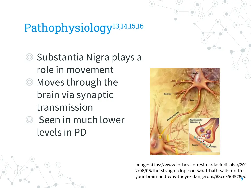 pathophysiology 13 14 15 16