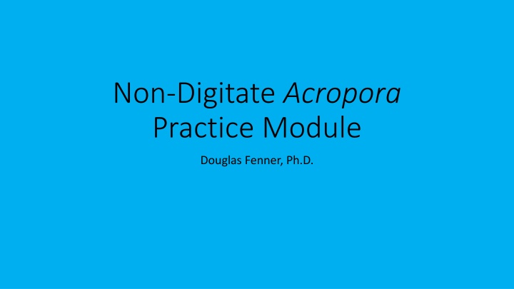 non digitate acropora practice module