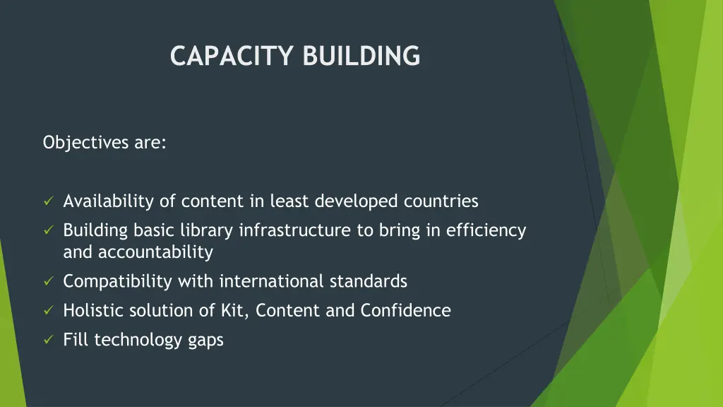 capacity building