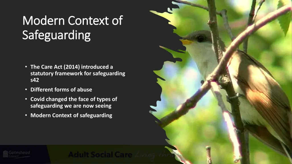 modern context of modern context of safeguarding