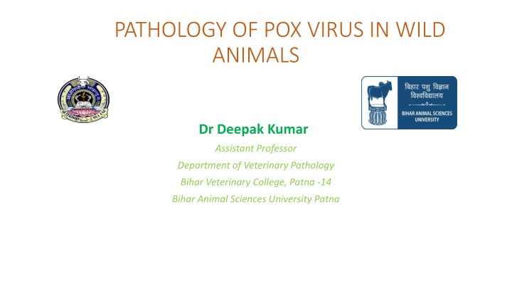 pathology of pox virus in wild animals