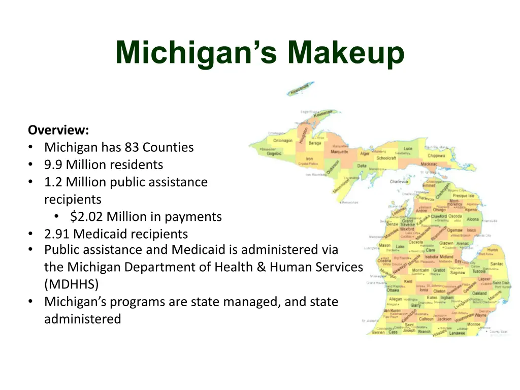 michigan s makeup