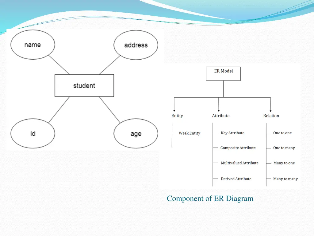 component of er diagram