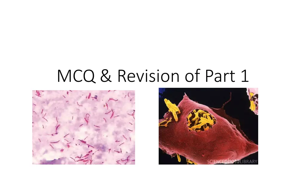 mcq revision of part 1