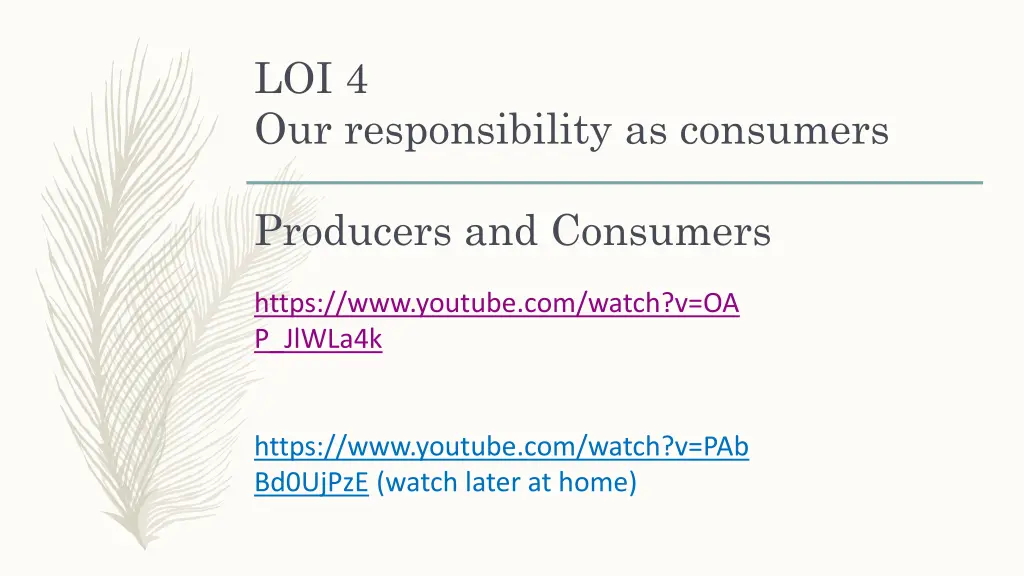 loi 4 our responsibility as consumers