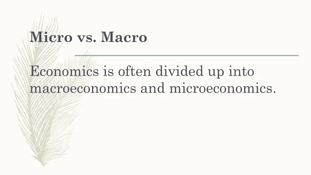 micro vs macro