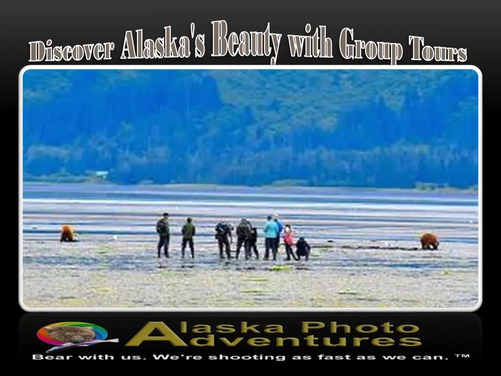 discover alaska s beauty with group tours 1