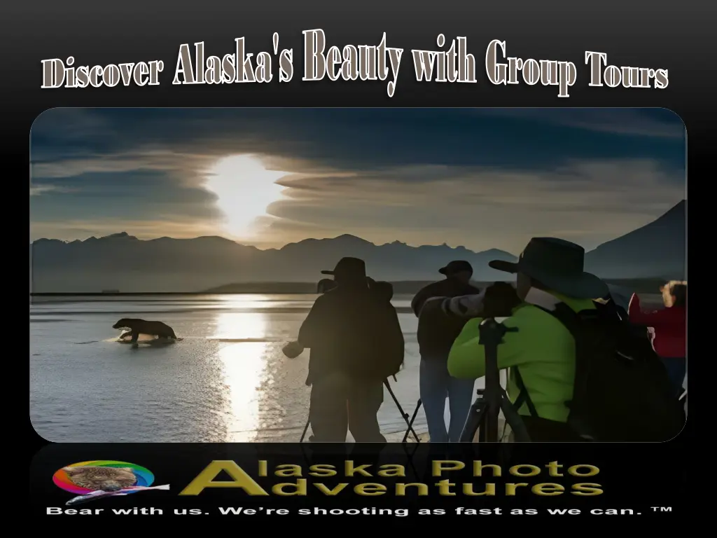 discover alaska s beauty with group tours 2