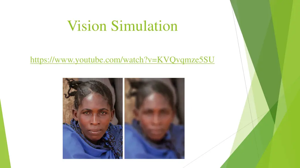 vision simulation