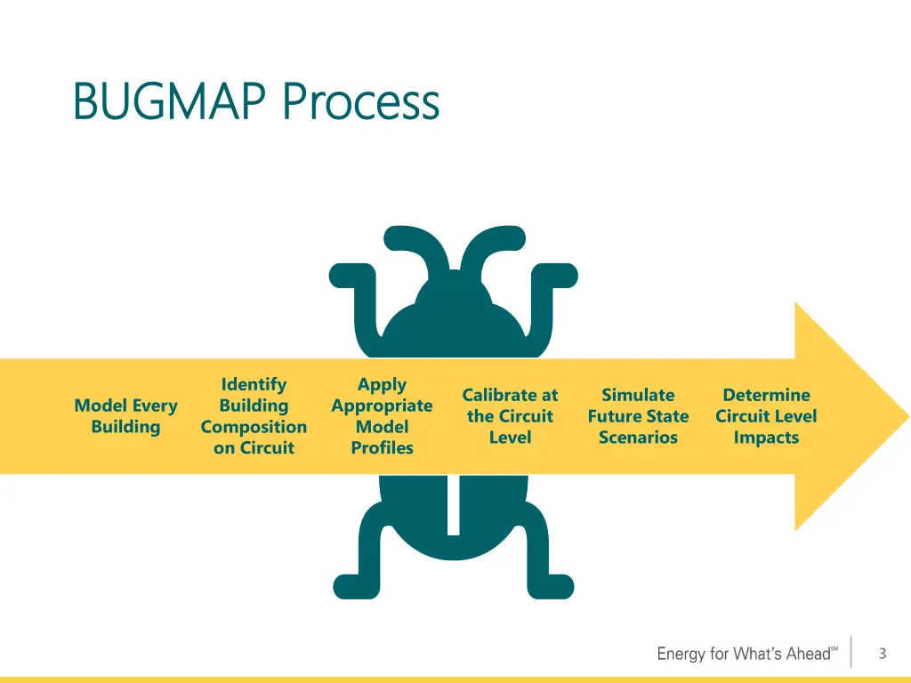 bugmap process bugmap process