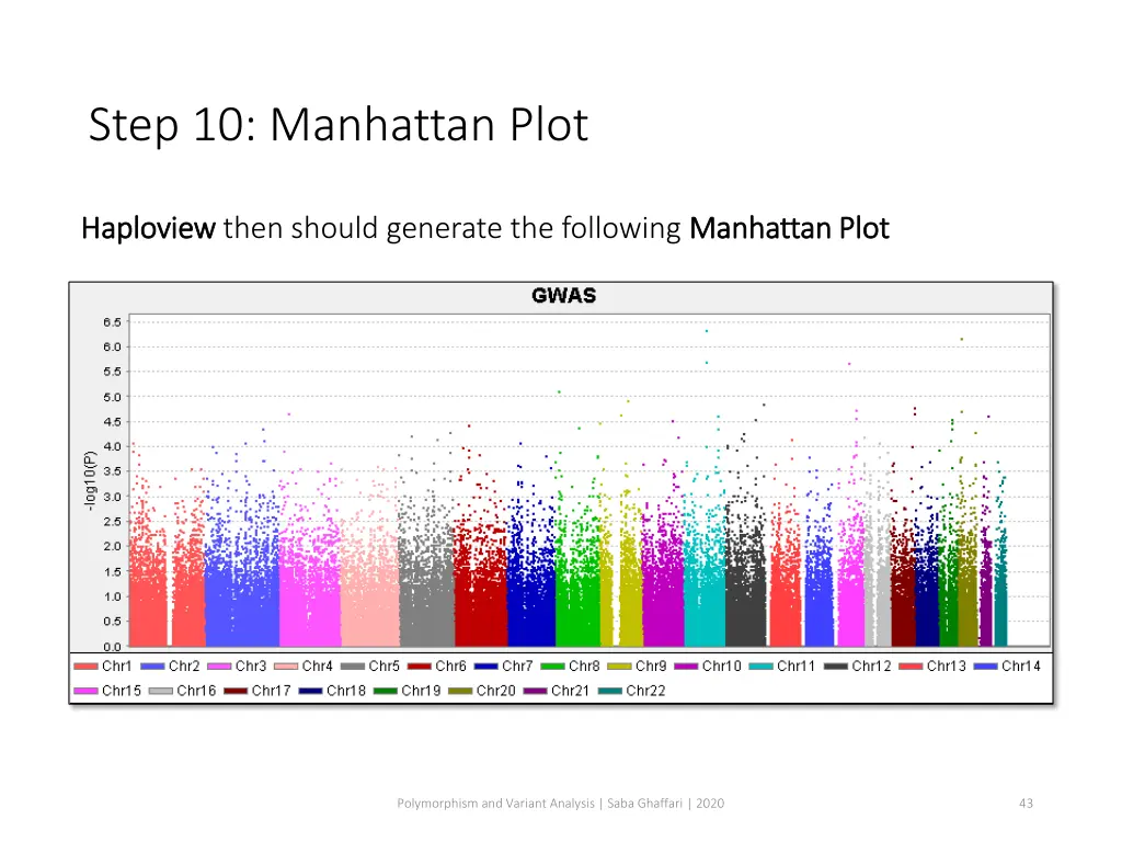 step 10 manhattan plot